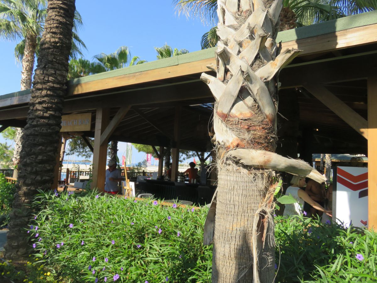 imagini hotel Kirman Leodikya Alanya